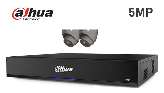 Dahua-Kit-01-IP 5MP infrared turret 2 camera IP CCTV system, grey