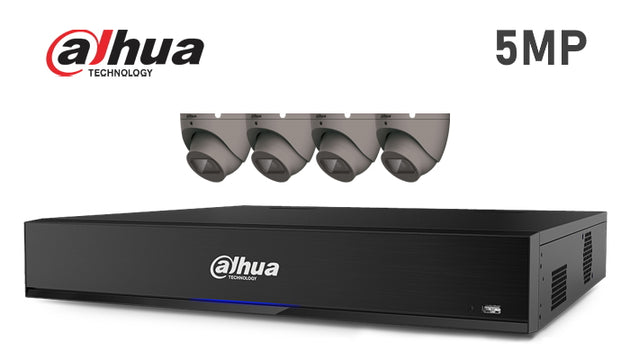 Dahua-KIT-02-IP 5MP infrared turret 4 camera IP CCTV system,    grey